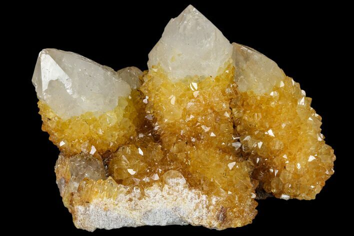 Sunshine Cactus Quartz Crystal Cluster - South Africa #115155